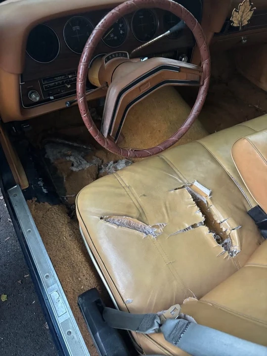 1978 Ford LTD - Image 4 of 5