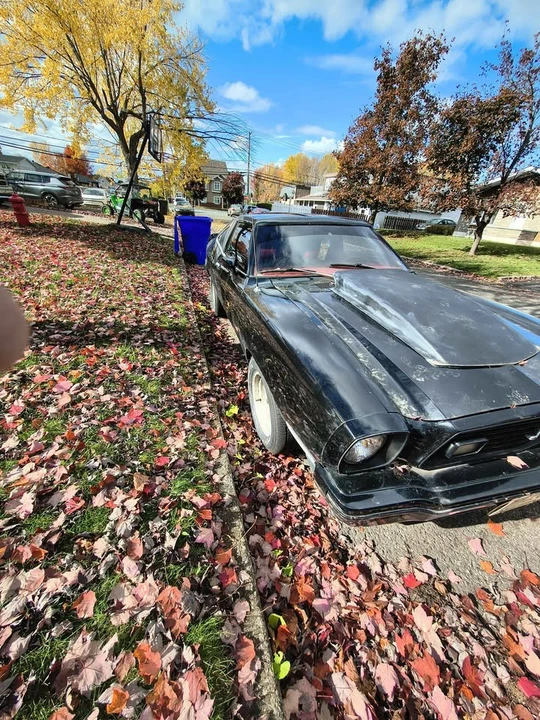 1978 Ford Mustang 2nd Gen - Image 3 of 11