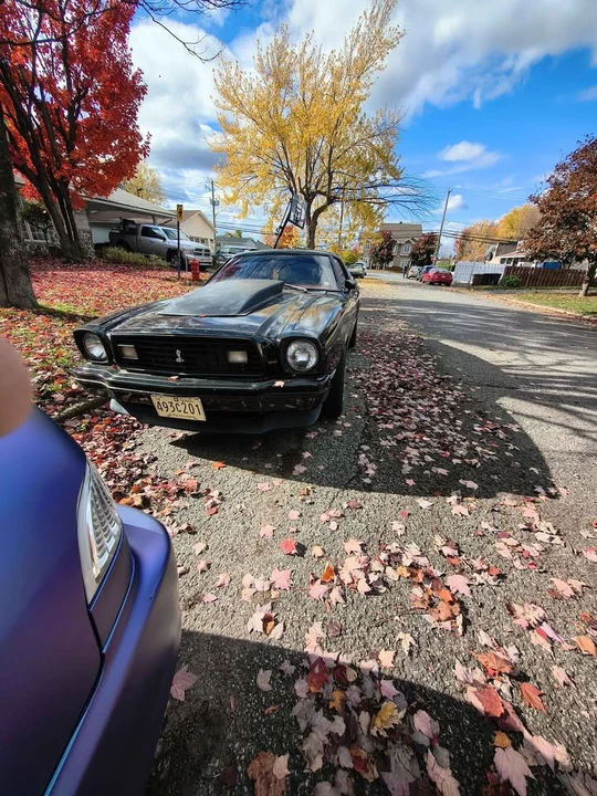 1978 Ford Mustang 2nd Gen - Image 2 of 11