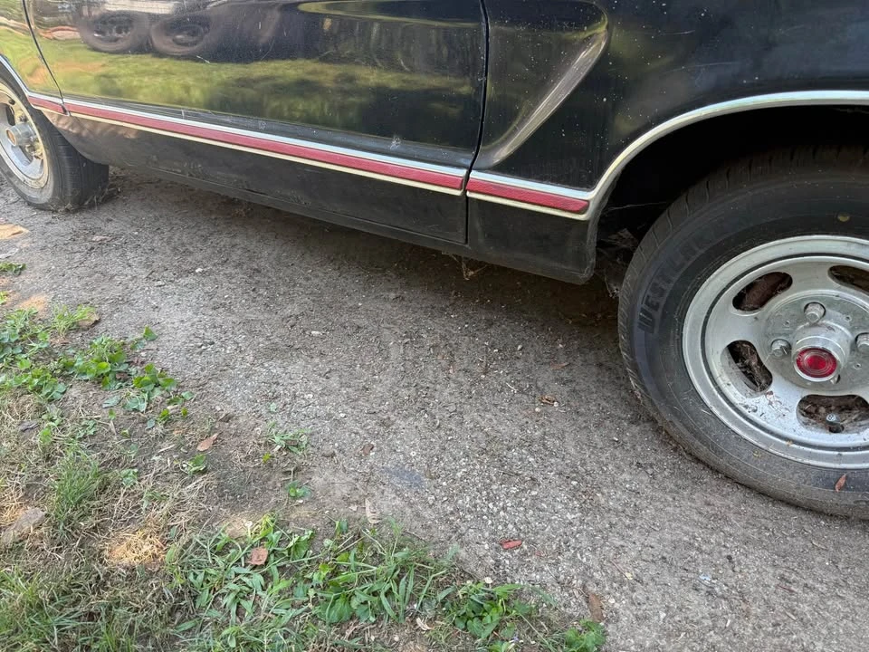 1978 Ford Mustang 2nd Gen - Image 6 of 7