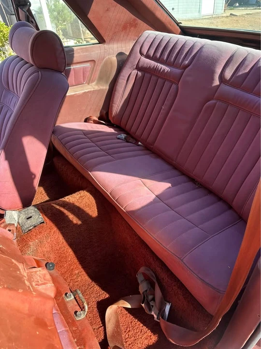1978 Ford Mustang 2nd Gen - Image 8 of 9