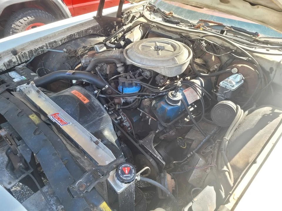 1978 Ford Thunderbird 6th Gen - Image 6 of 7