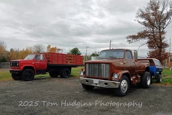 1978 GMC C/K 3rd Gen - Image 4 of 20