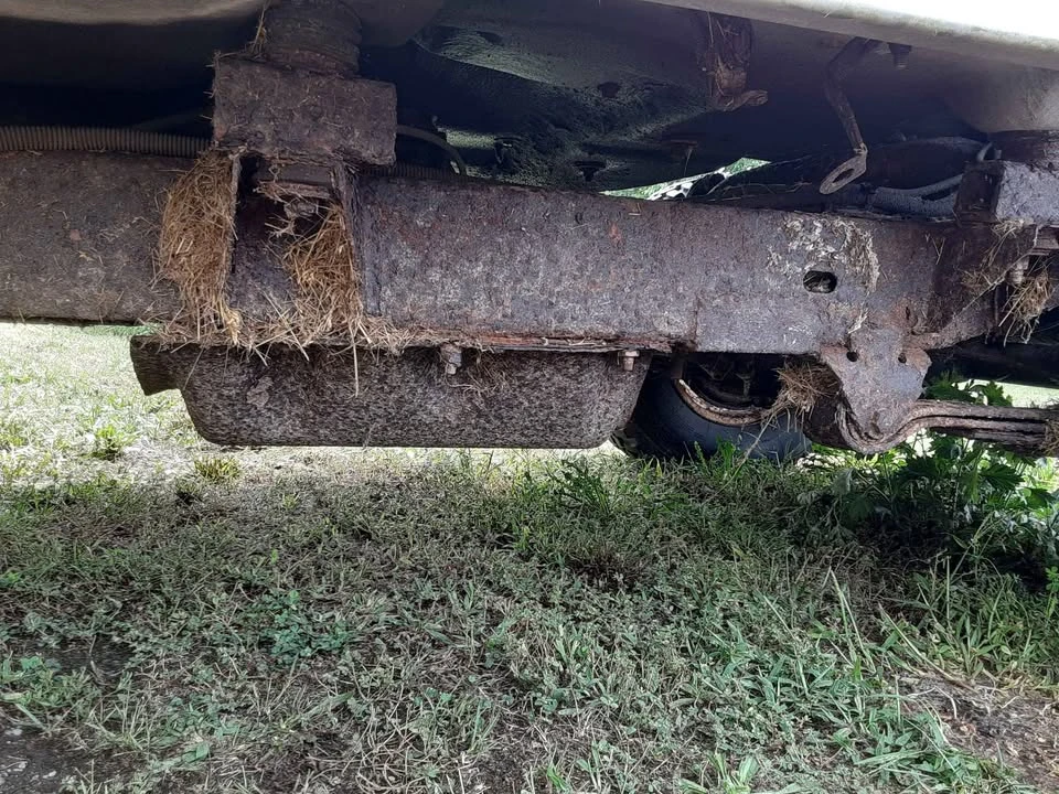 1978 Jeep CJ7 - Image 14 of 20