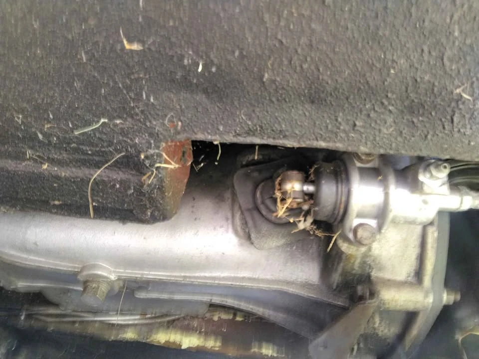 1978 MG Midget - Image 3 of 19