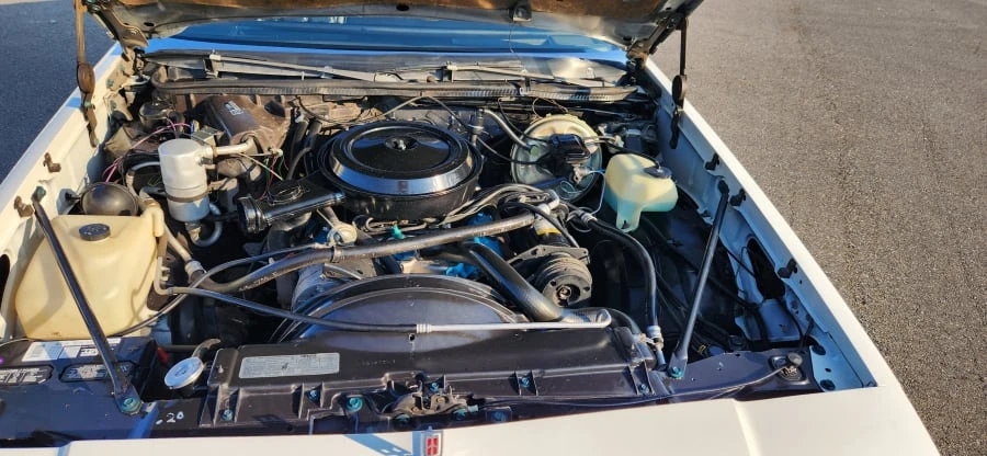 1978 Oldsmobile Cutlass 5th Gen - Image 22 of 24