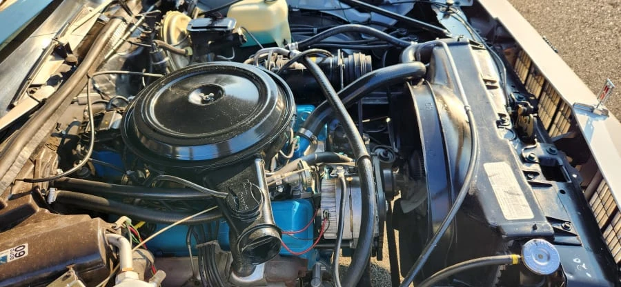 1978 Oldsmobile Cutlass 5th Gen - Image 19 of 24
