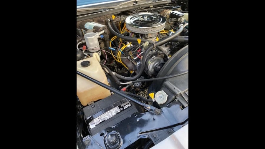 1978 Oldsmobile Cutlass Supreme - Image 7 of 11