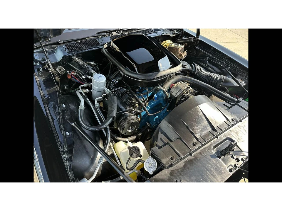 1978 Pontiac Firebird 2nd Gen - Image 28 of 31