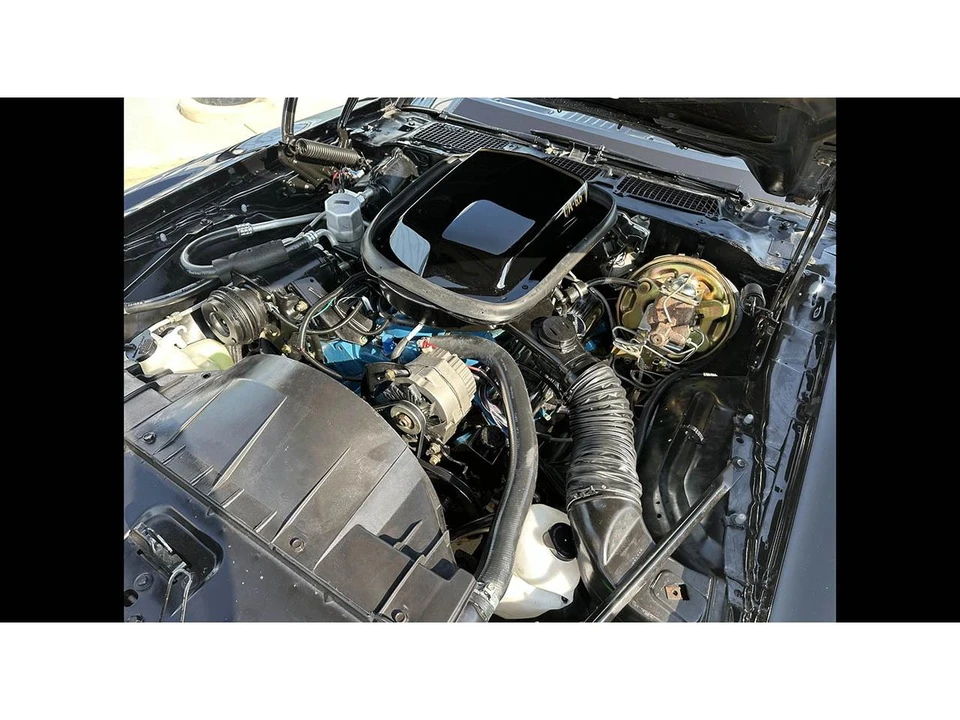 1978 Pontiac Firebird 2nd Gen - Image 29 of 31