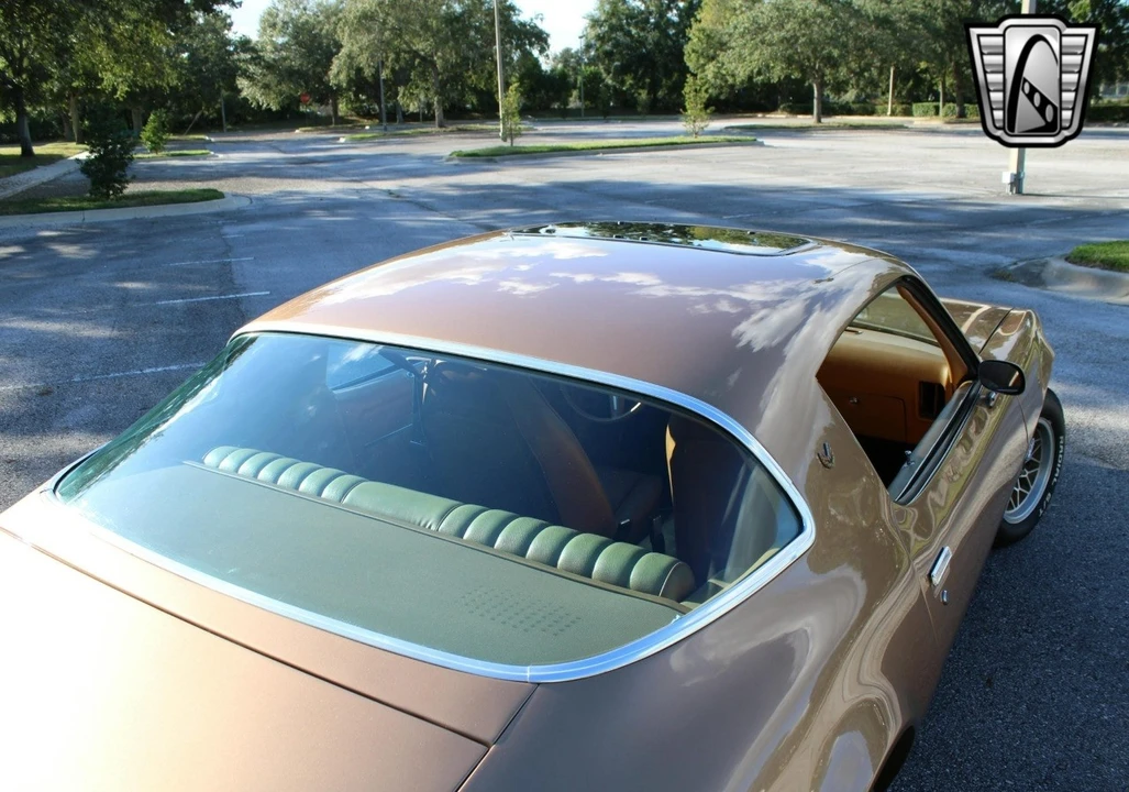 1978 Pontiac Firebird 2nd Gen - Image 15 of 21