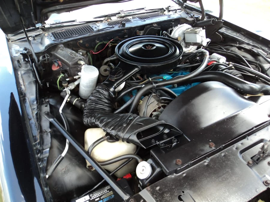 1978 Pontiac Firebird 2nd Gen - Image 8 of 12