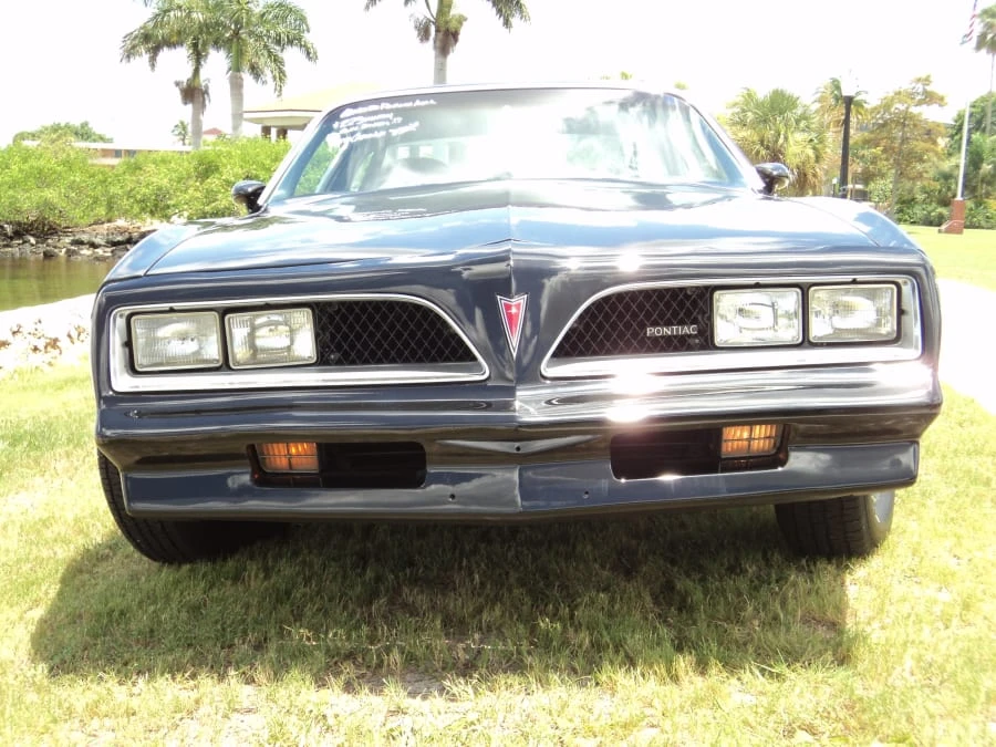 1978 Pontiac Firebird 2nd Gen - Image 11 of 12