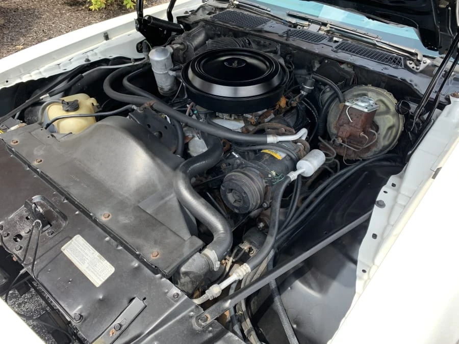 1978 Pontiac Firebird 2nd Gen - Image 6 of 7