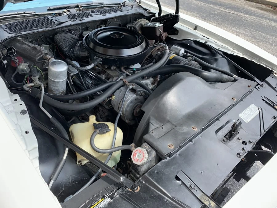1978 Pontiac Firebird 2nd Gen - Image 7 of 7