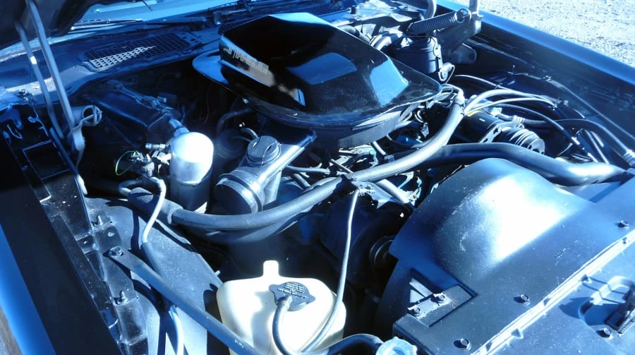 1978 Pontiac Firebird 2nd Gen - Image 6 of 6