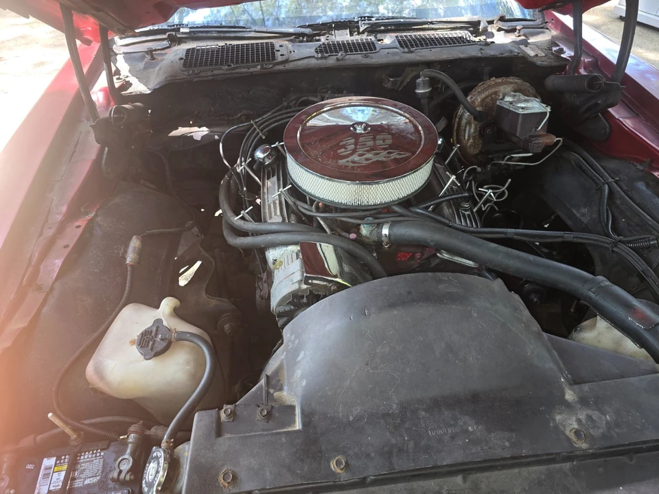 1978 Pontiac Firebird 2nd Gen - Image 6 of 12