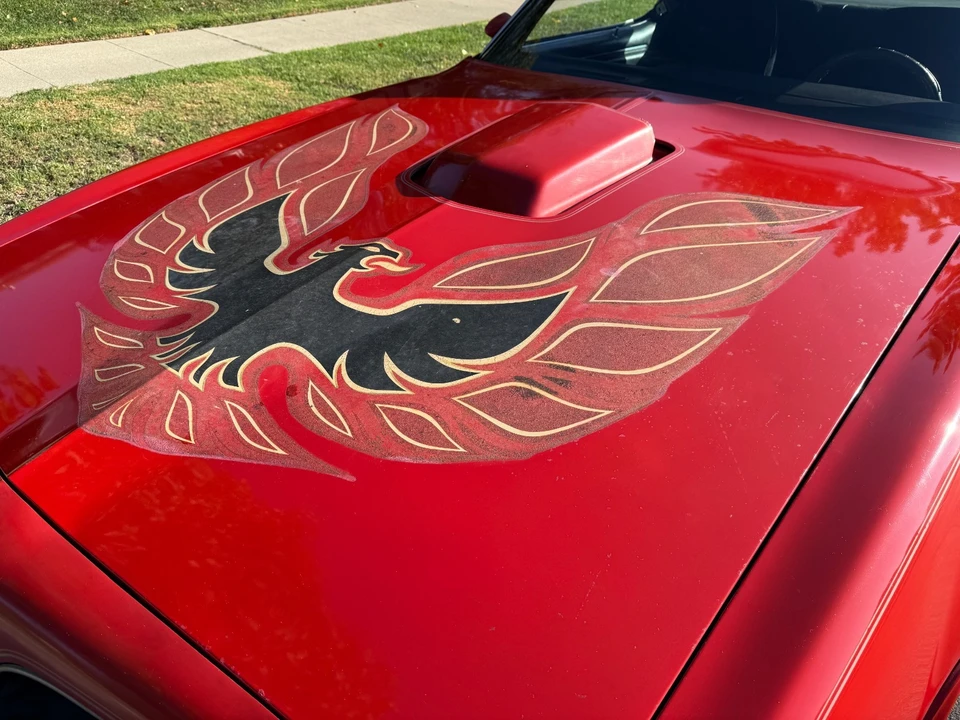 1978 Pontiac Firebird 2nd Gen - Image 11 of 28