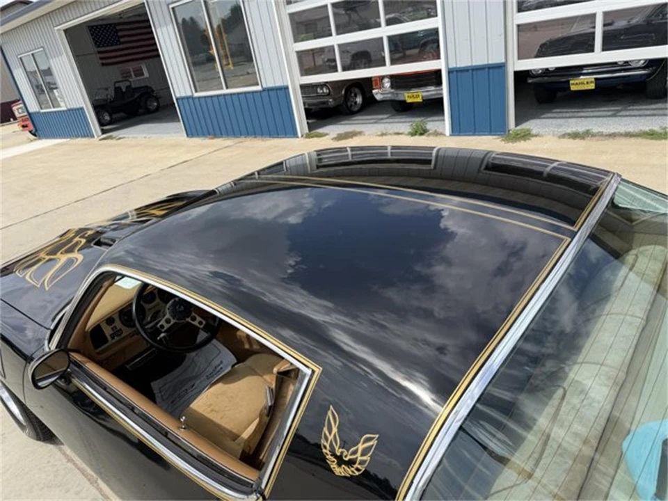1978 Pontiac Firebird 2nd Gen - Image 12 of 31