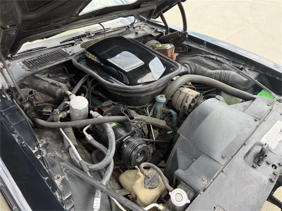 1978 Pontiac Firebird 2nd Gen - Image 19 of 31