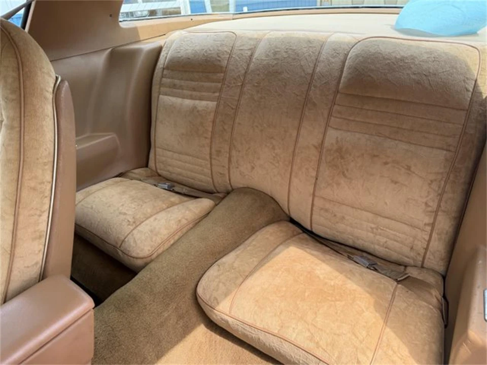 1978 Pontiac Firebird 2nd Gen - Image 28 of 31