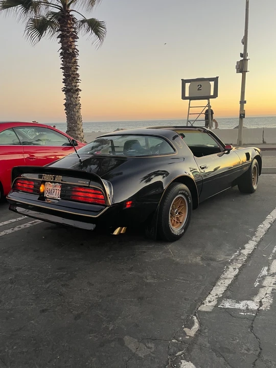 1978 Pontiac Firebird 2nd Gen - Image 2 of 19
