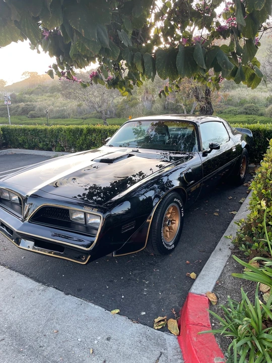 1978 Pontiac Firebird 2nd Gen - Image 8 of 19