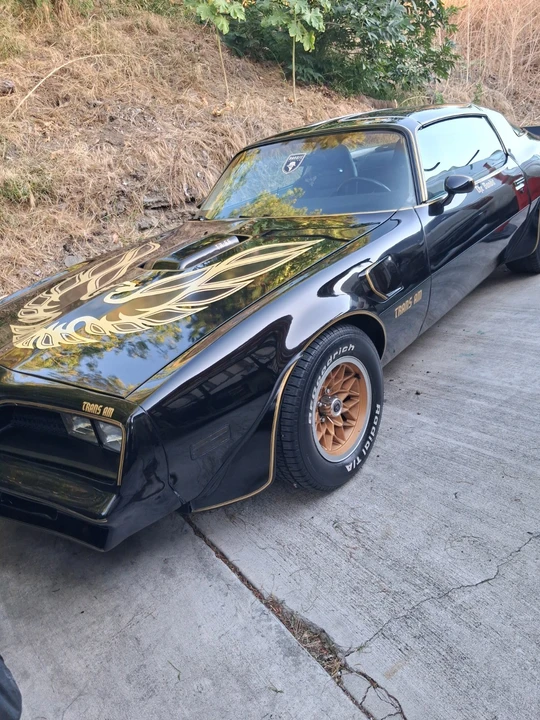 1978 Pontiac Firebird 2nd Gen - Image 6 of 11