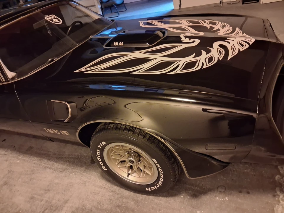 1978 Pontiac Firebird 2nd Gen - Image 11 of 11