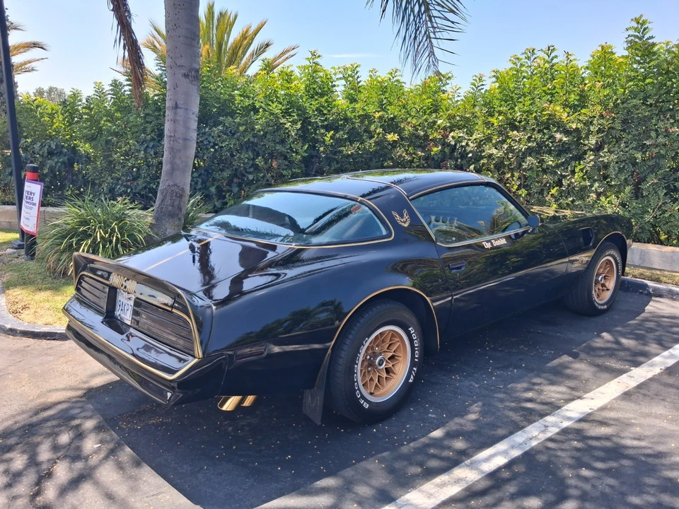 1978 Pontiac Firebird 2nd Gen - Image 2 of 11