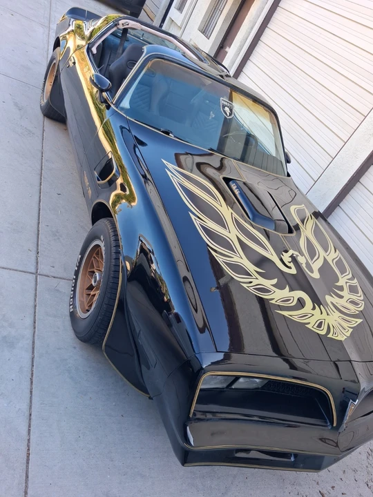 1978 Pontiac Firebird 2nd Gen - Image 3 of 11