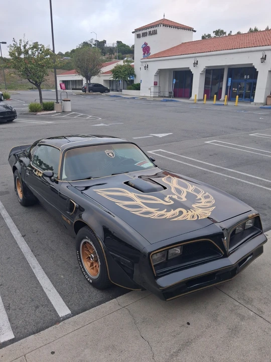 1978 Pontiac Firebird 2nd Gen - Image 5 of 11
