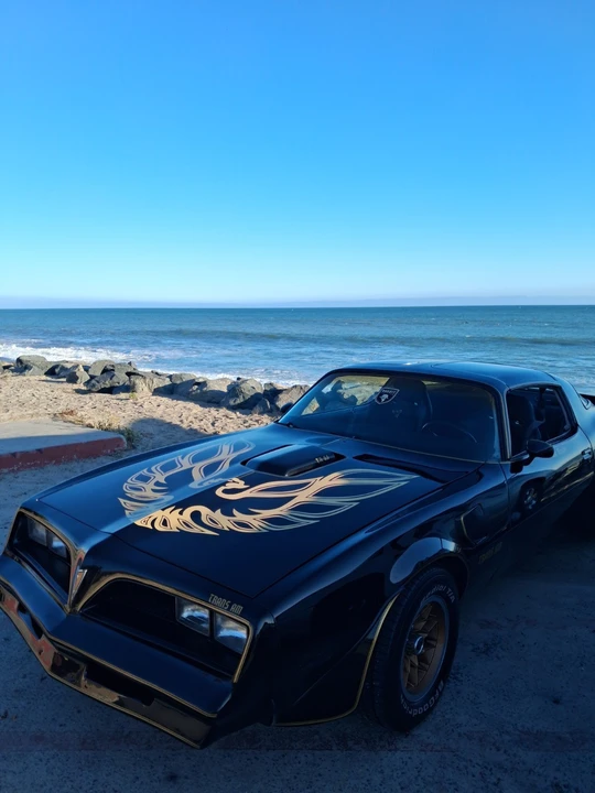 1978 Pontiac Firebird 2nd Gen - Image 4 of 11