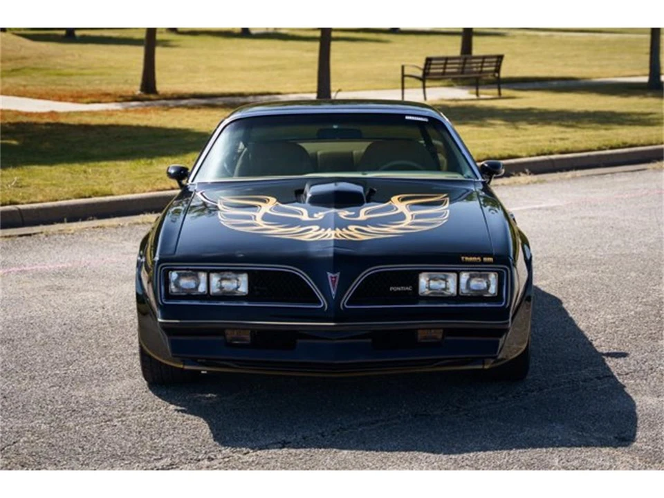1978 Pontiac Firebird 2nd Gen - Image 9 of 31