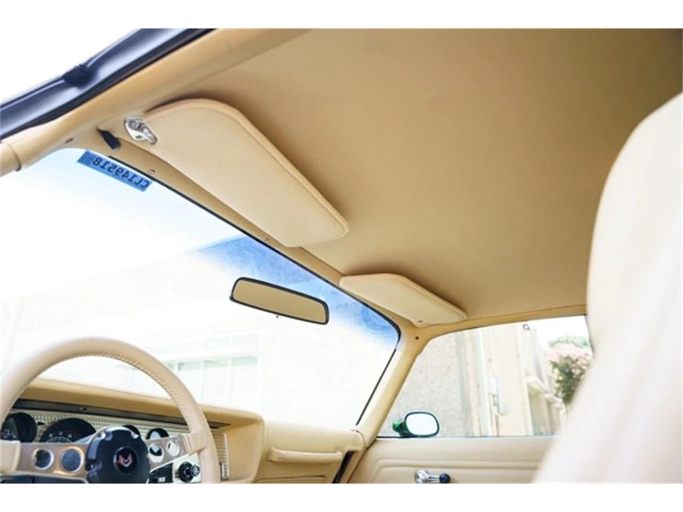1978 Pontiac Firebird 2nd Gen - Image 30 of 31