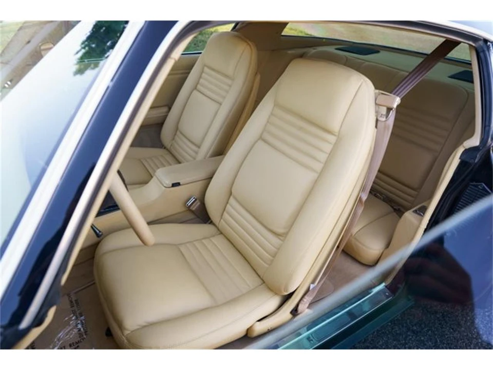 1978 Pontiac Firebird 2nd Gen - Image 20 of 31