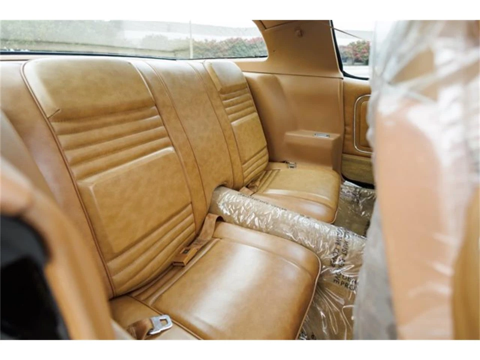 1978 Pontiac Firebird 2nd Gen - Image 31 of 31