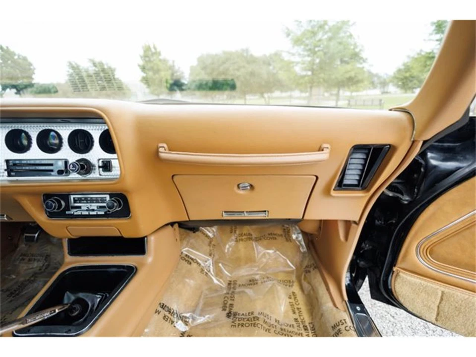 1978 Pontiac Firebird 2nd Gen - Image 30 of 31