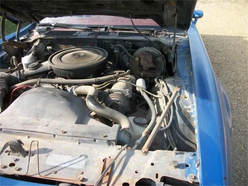 1978 Pontiac Firebird 2nd Gen - Image 12 of 13