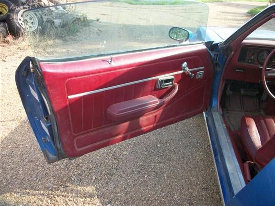 1978 Pontiac Firebird 2nd Gen - Image 10 of 13