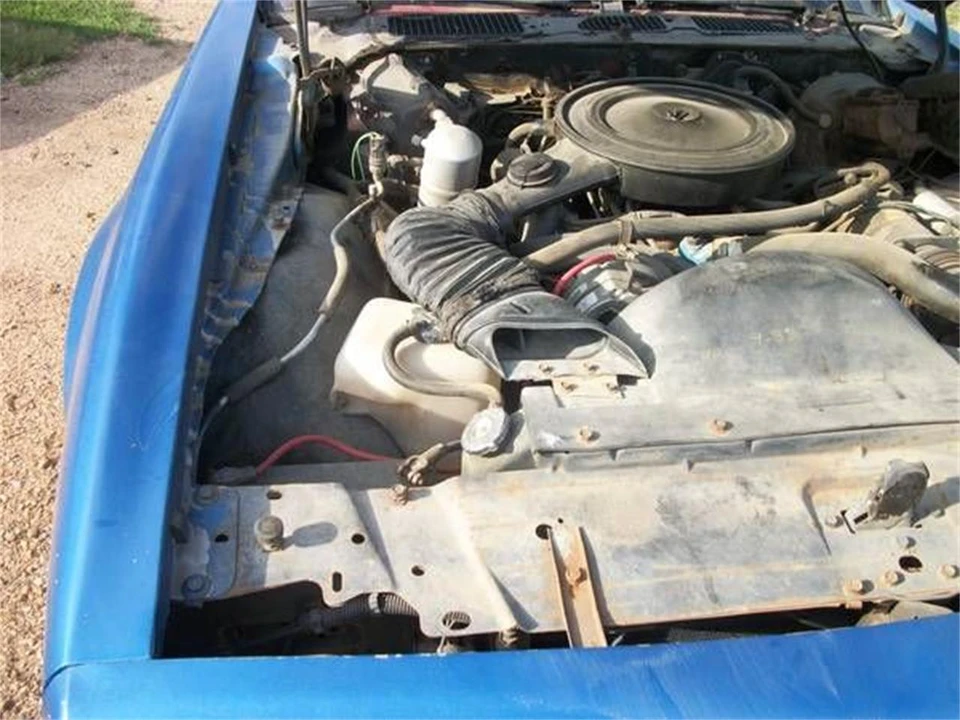 1978 Pontiac Firebird 2nd Gen - Image 13 of 13