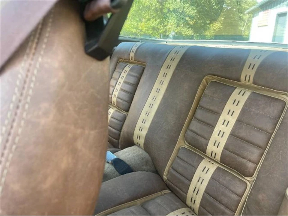1978 Pontiac Firebird 2nd Gen - Image 19 of 23