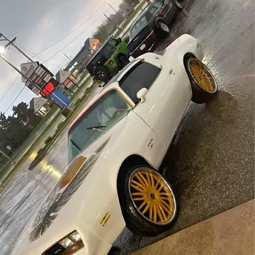 1978 Pontiac Firebird Coupe 2D