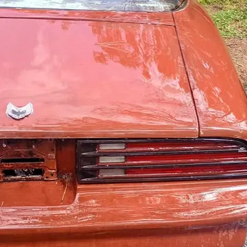 1978 Pontiac Firebird Coupe