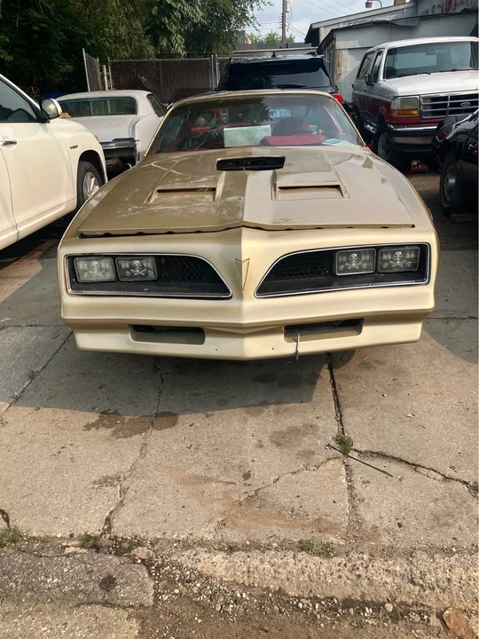 1978 Pontiac Firebird 2nd Gen - Image 4 of 13