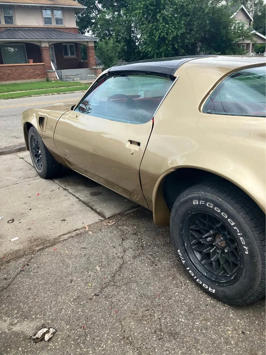 1978 Pontiac Firebird 2nd Gen - Image 11 of 13