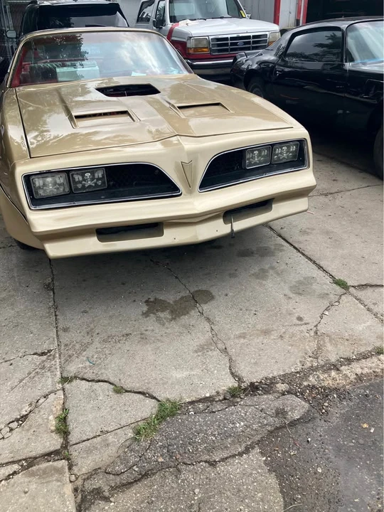1978 Pontiac Firebird 2nd Gen - Image 10 of 13