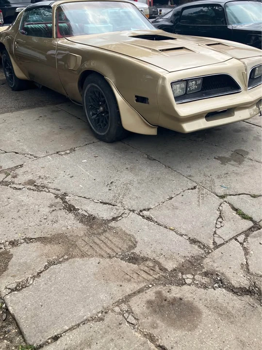 1978 Pontiac Firebird 2nd Gen - Image 13 of 13