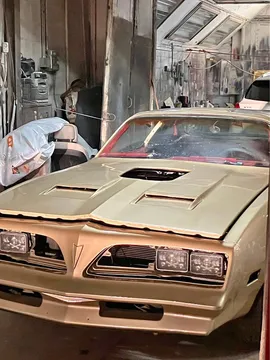 1978 Pontiac Firebird Coupe 2D