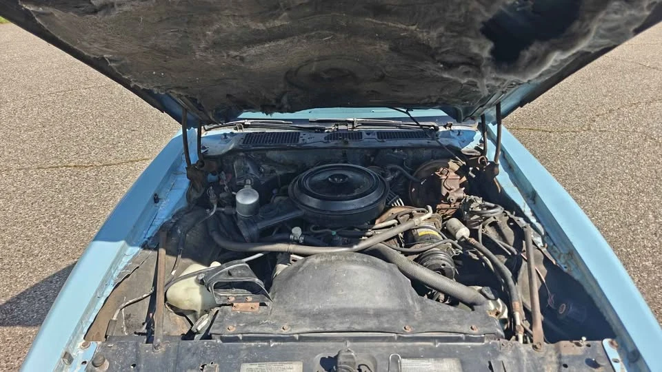 1978 Pontiac Firebird 2nd Gen - Image 9 of 20